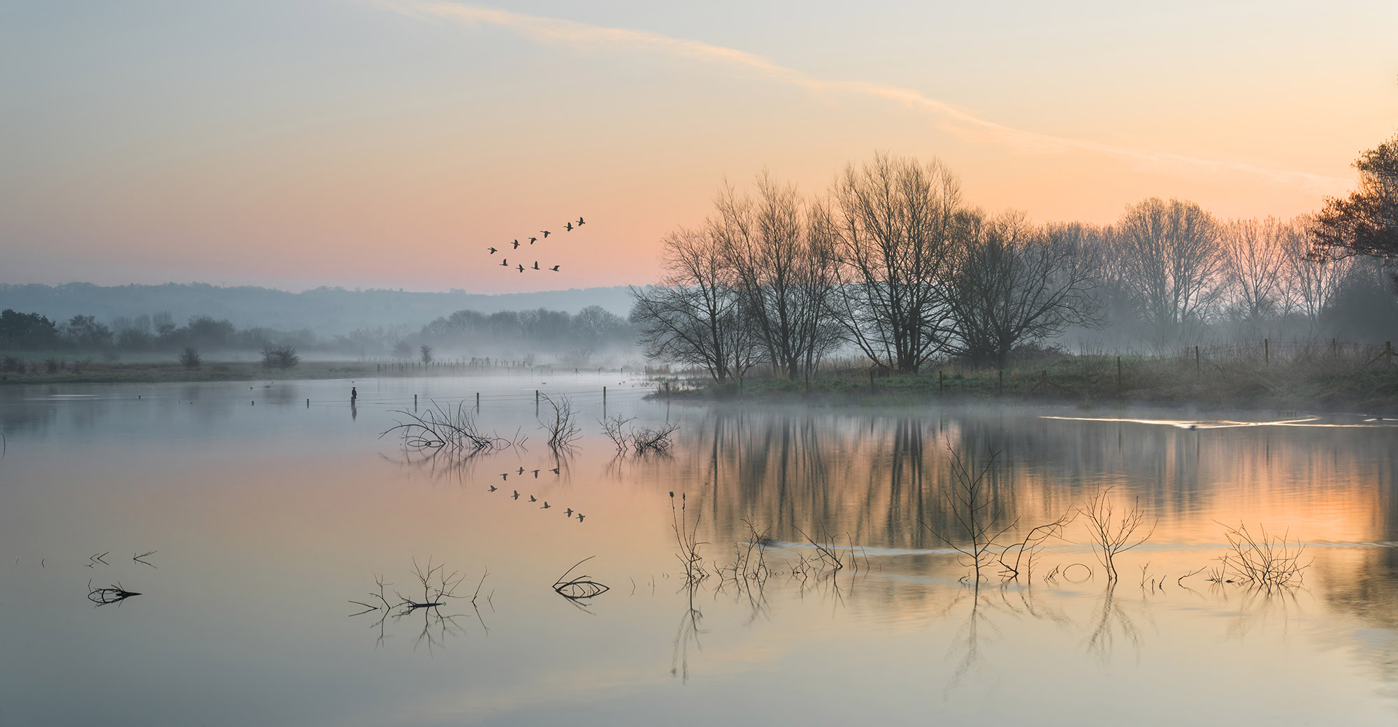 Flock of birds over orangey tinted grey lake